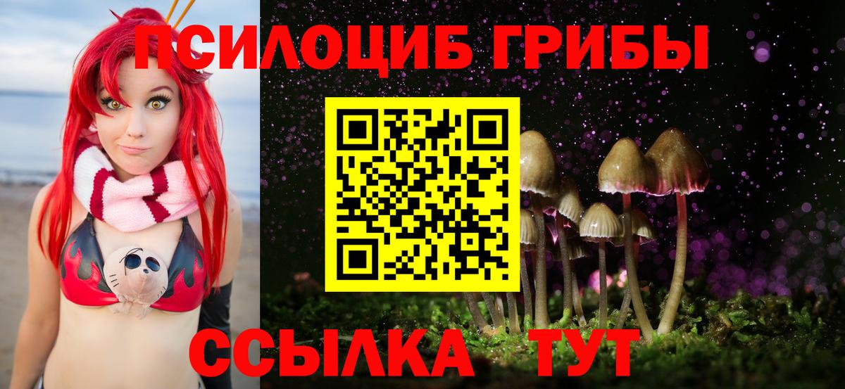 Псилоцибиновые грибы Psilocybe  Вход с VPN  Пушкино  Галлюциногенные грибы Cubensis 